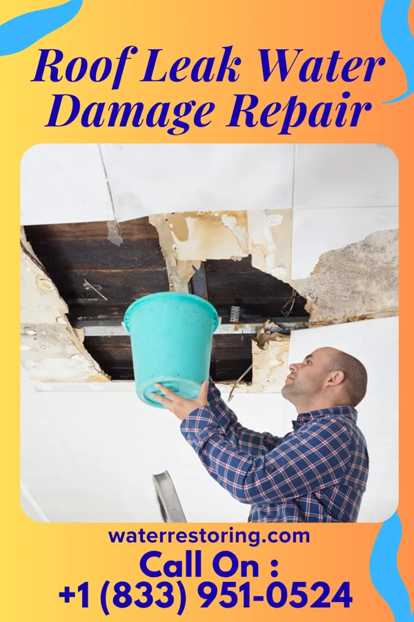 Roof Leak Water Damage Repair in New Chapel Hill, TX
